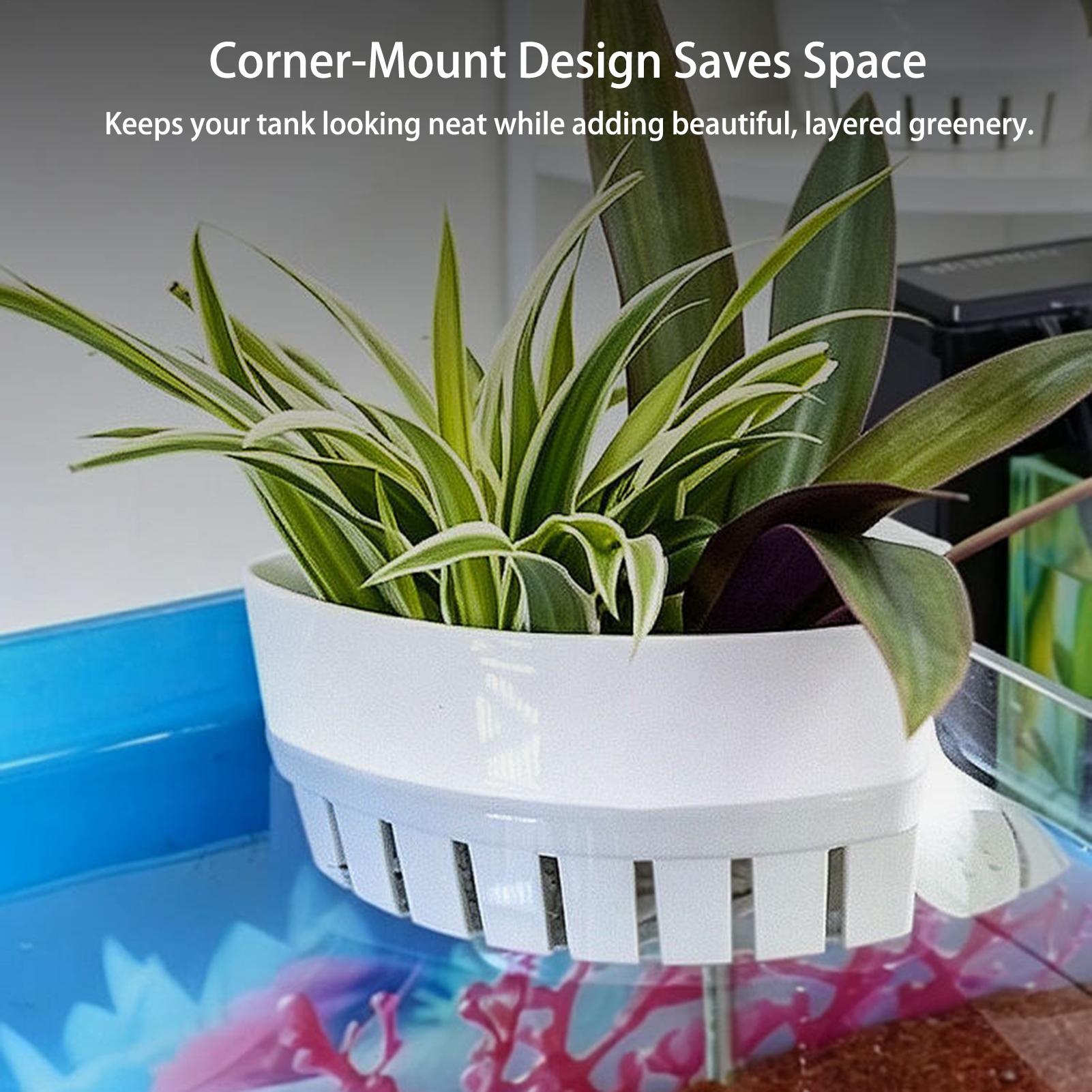 Aquarium Planted Background - Cesto per Piante Acquatiche, Decorazioni Sospese