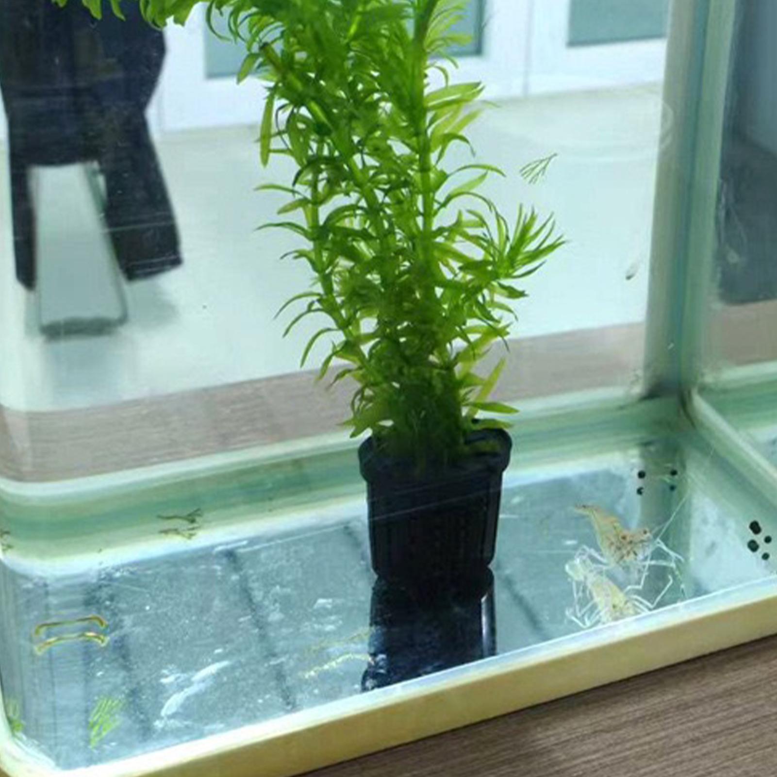 Aquarium Planted Background - Set di 4 Cestini Idroponici per