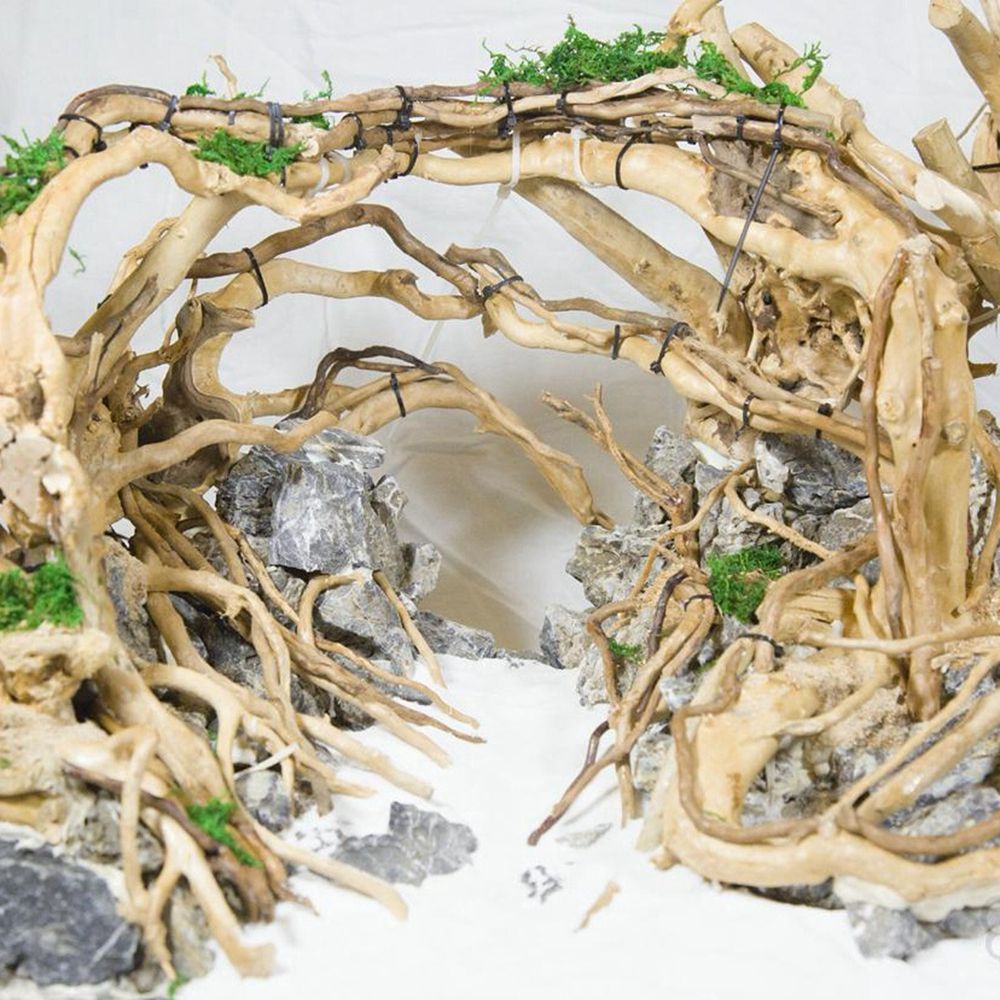 Aquarium Planted Background - Legno N1N per Terrario Rettili, Decorazione