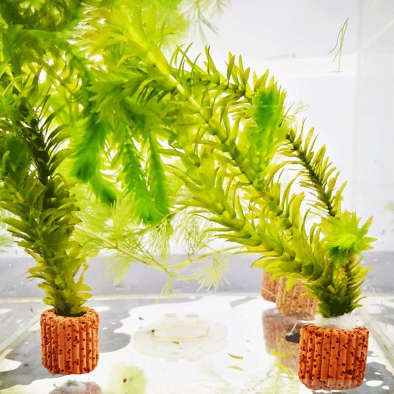 Emersed Plants Aquarium - QX2E Ancoraggi porta piante per acquari