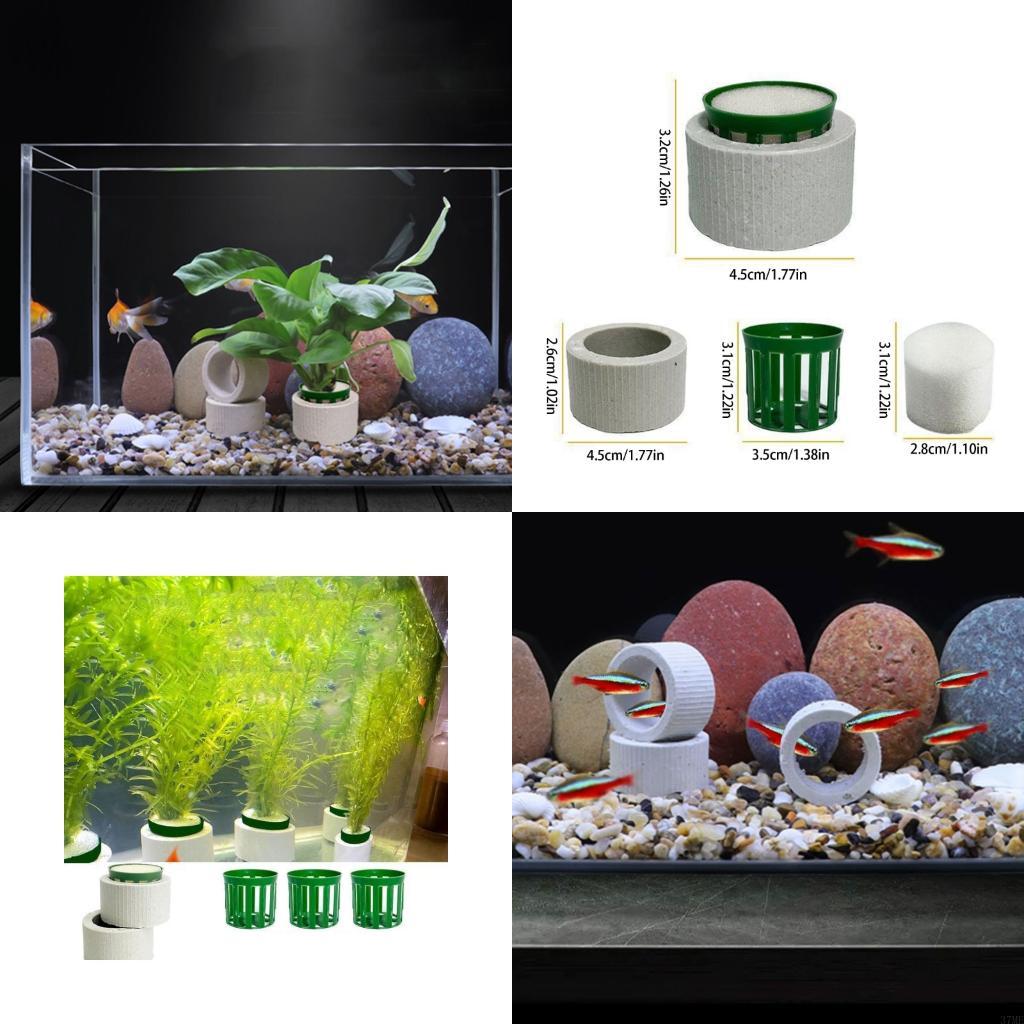 Aquarium Planted Background - 37ME 10 pezzi Anelli fissi per
