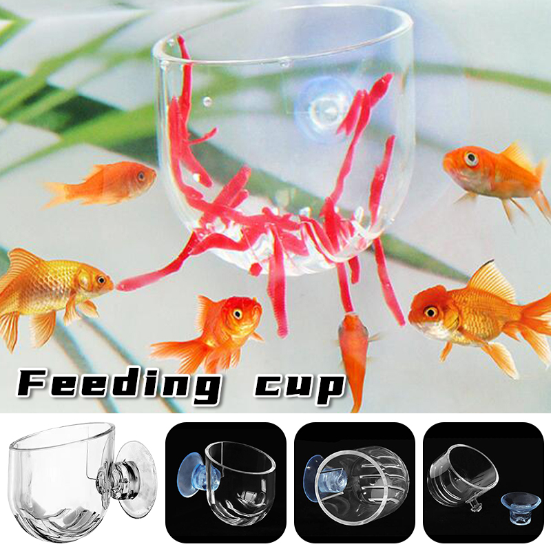 Aquarium Plant Red - Acquario Tazza per mangiatoia a verme