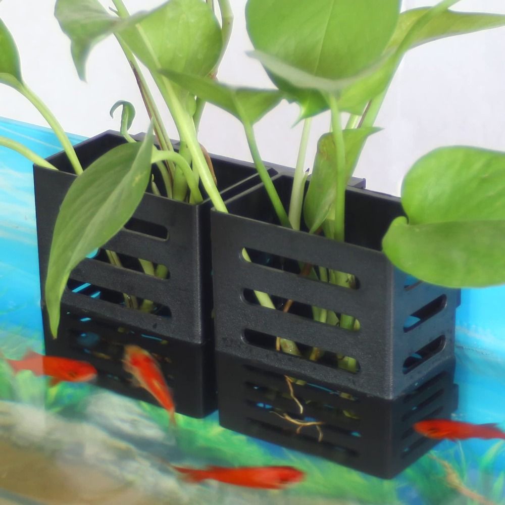 Emersed Plants Aquarium - Supporto per piante in vetro per