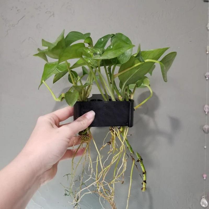 Emersed Plants Aquarium - Portapiante per acquario sospeso Vaso per