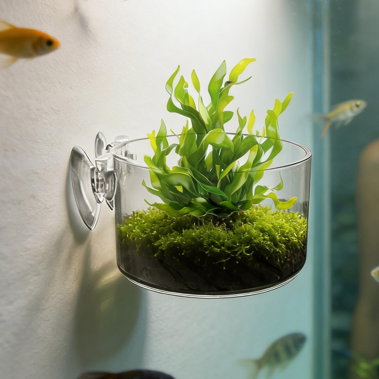 Aquarium Planted Background - Supporto per Piante Acquatiche in Acrilico,