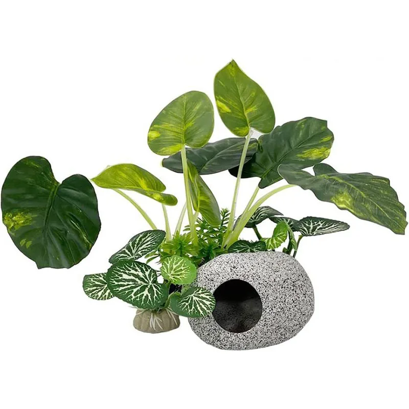 Aquarium Planted Background - Piccola erba subacquea Acquario Acquario Simulazione