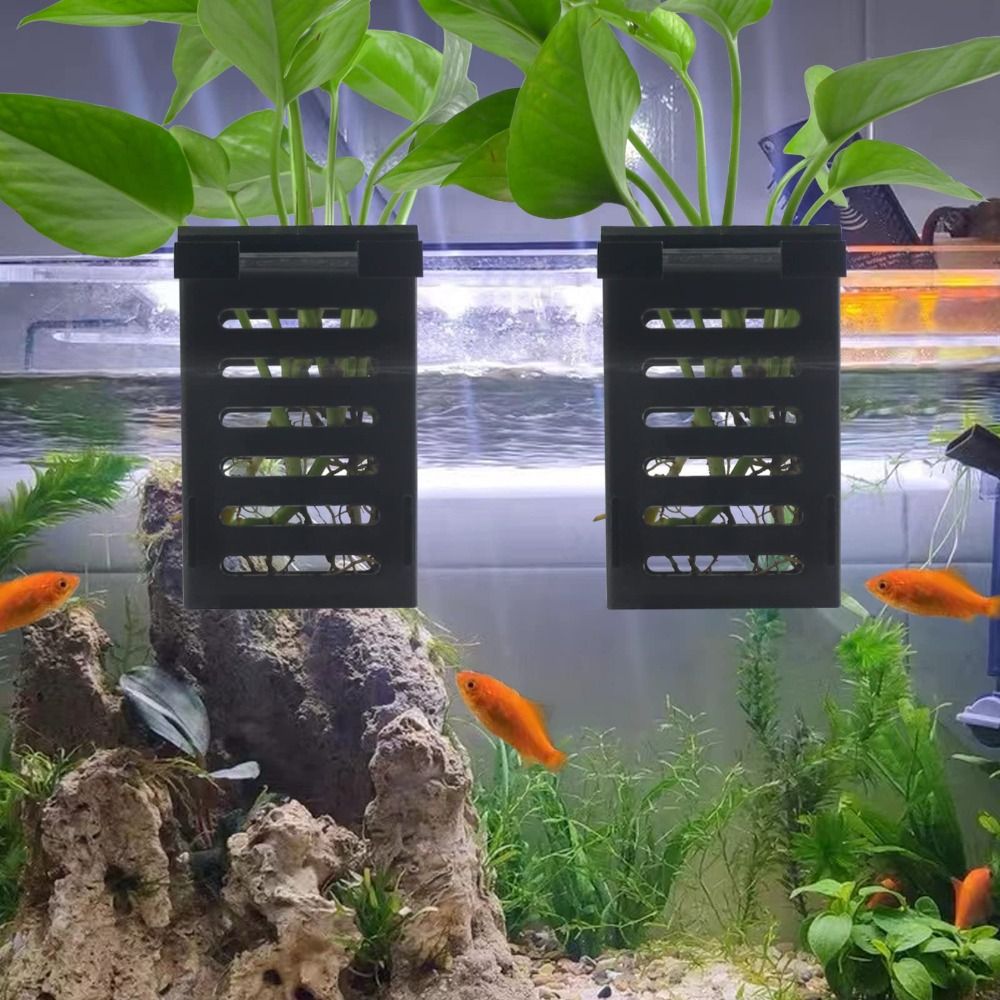 Water Plant Landscape Aquarium - Emersed Plants Aquarium recensione e prezzo