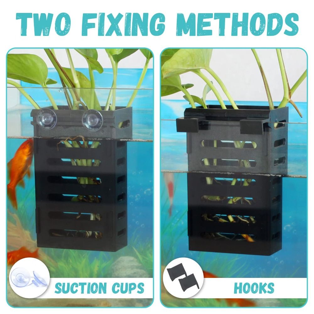 Supporto per piante da acquari - Emersed Plants Aquarium recensione e prezzo