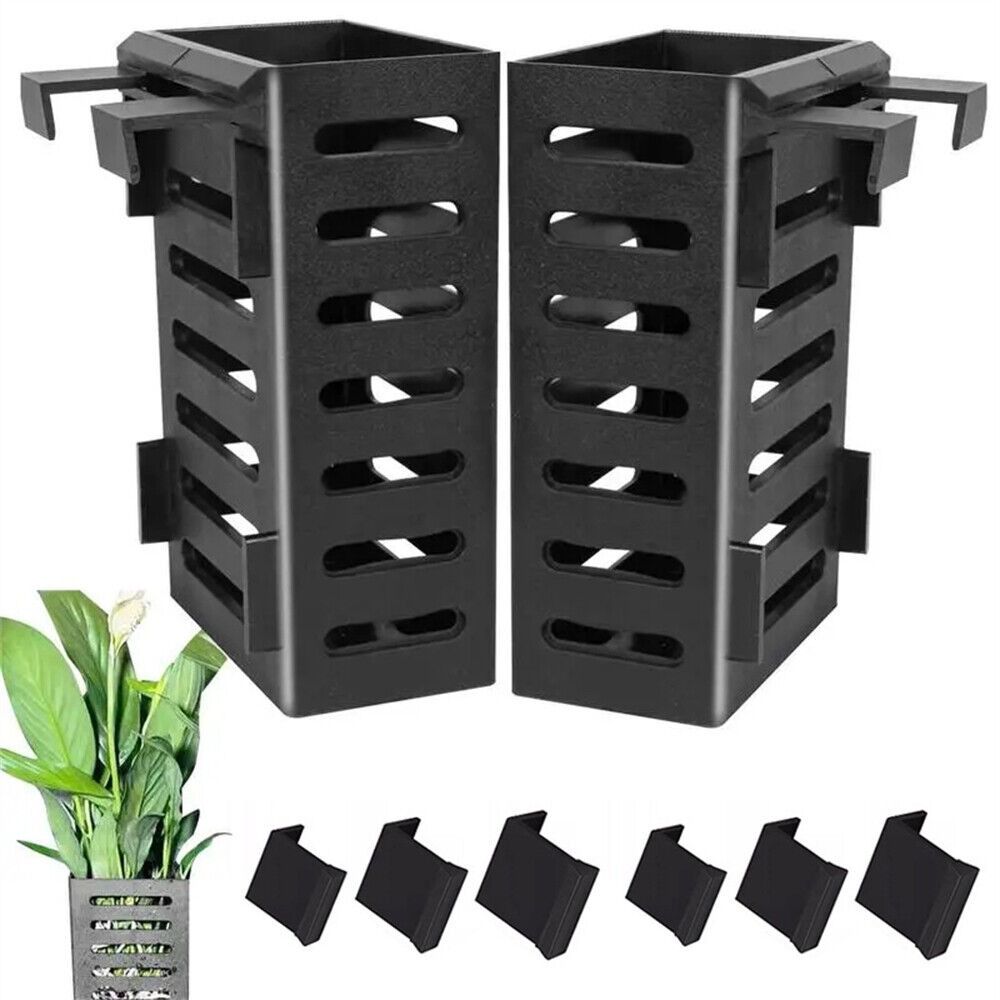 Pianta acquatica Paesaggio Acq - Emersed Plants Aquarium recensione e prezzo