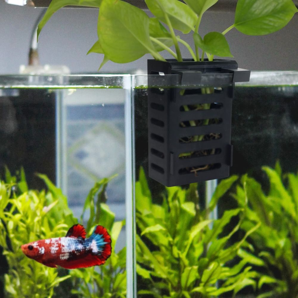Supporto per Piante Acquatiche - Emersed Plants Aquarium recensione e prezzo