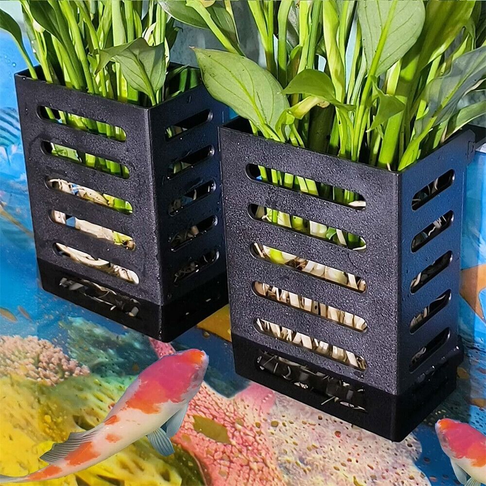Supporto per Piante Acquatiche - Emersed Plants Aquarium recensione e prezzo