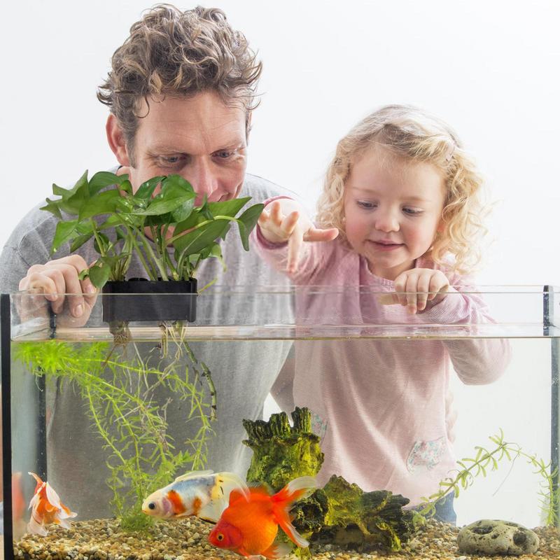 Supporto per piante d'acquario - Emersed Plants Aquarium recensione e prezzo