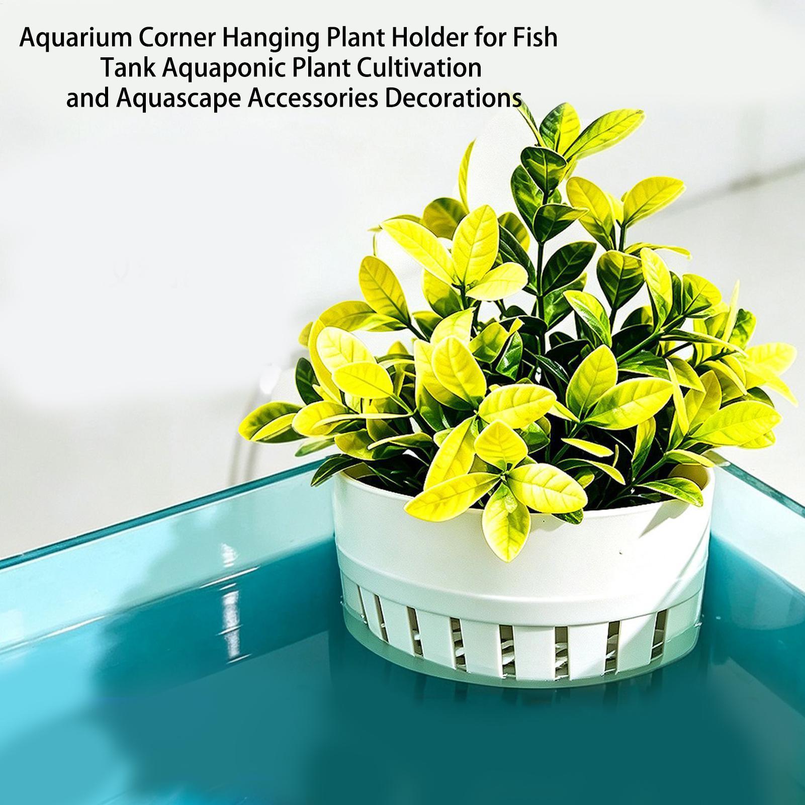 Cesto per Piante Acquatiche, D - Aquarium Planted Background recensione e prezzo