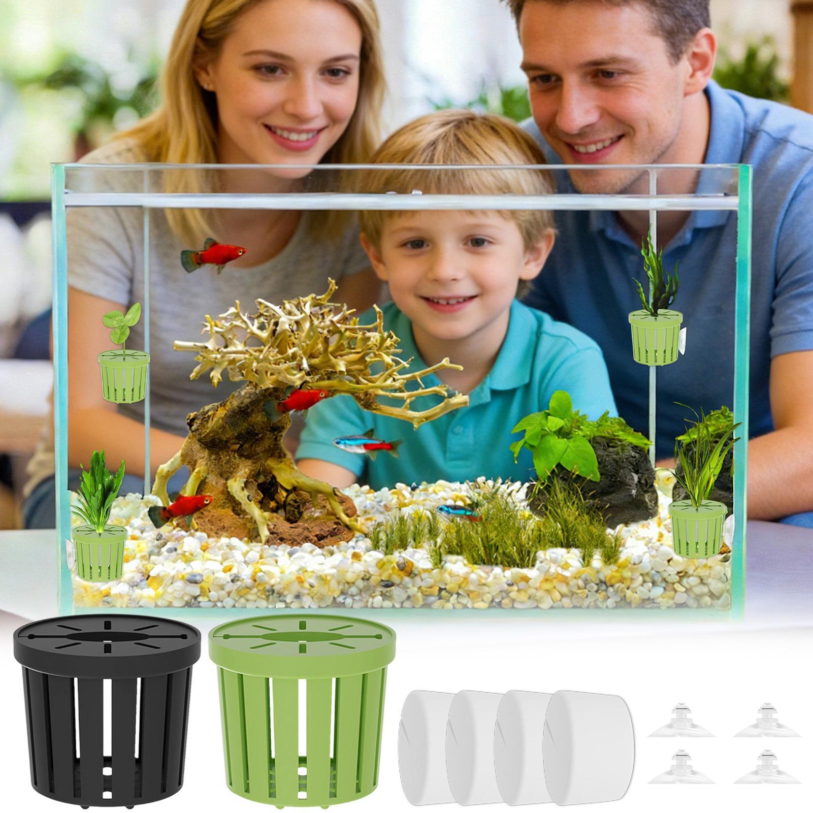 Set di 4 Cestini Idroponici pe - Aquarium Planted Background recensione e prezzo