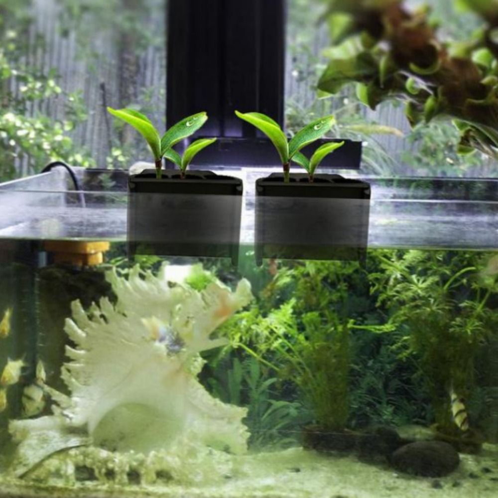Vaso per Piante Acquatiche in  - Emersed Plants Aquarium recensione e prezzo