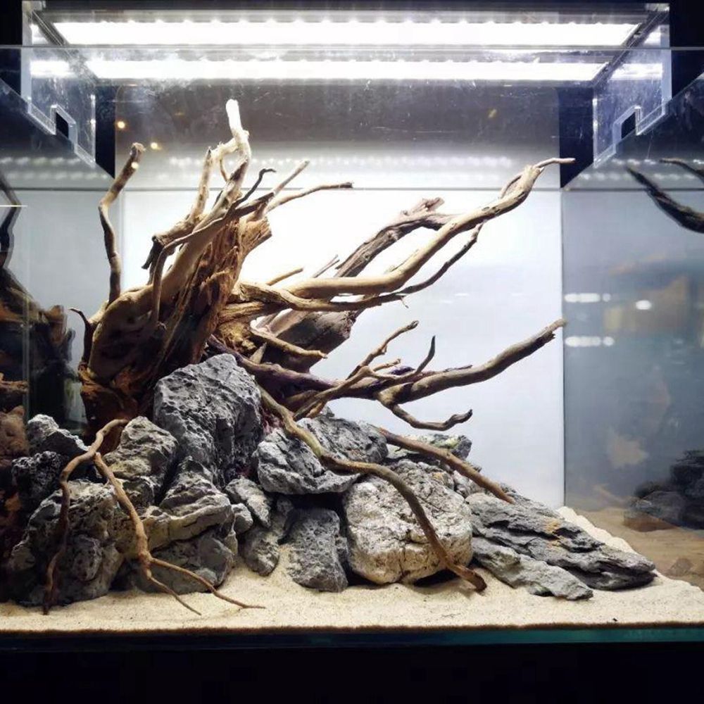 Legno N1N per Terrario Rettili - Aquarium Planted Background recensione e prezzo