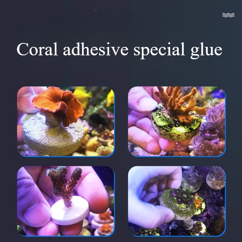 SPS LPS Coral Reef Frags Plug  - Aquarium Plant Glue Gel recensione e prezzo