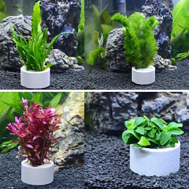 37ME 10 pezzi Anelli fissi per - Aquarium Planted Background recensione e prezzo