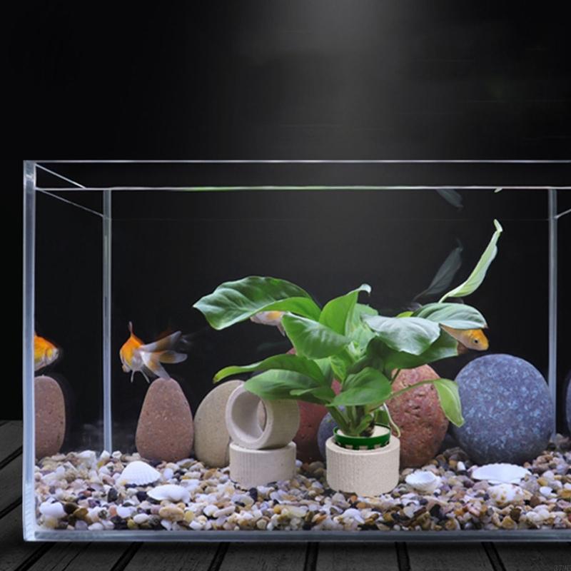 37ME 10 pezzi Anelli fissi per - Aquarium Planted Background recensione e prezzo