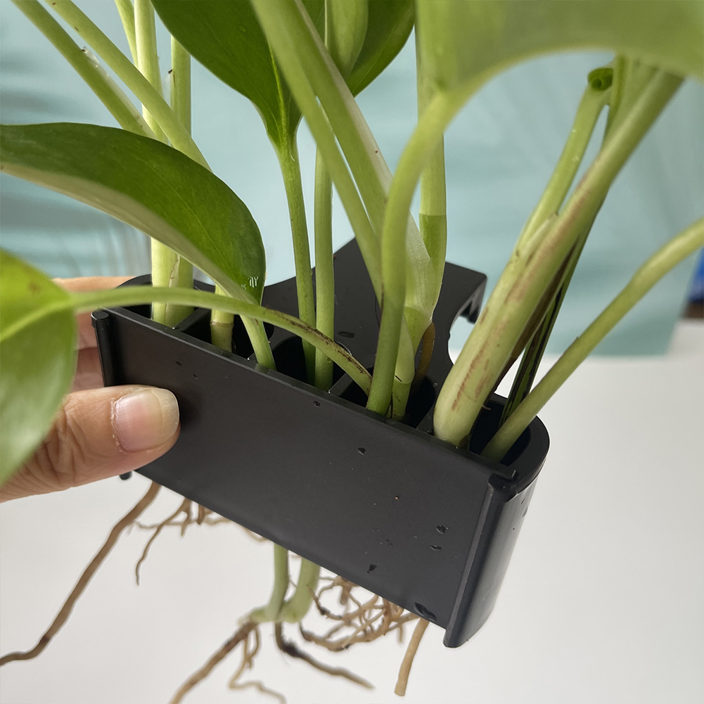 Supporto per piante d'acquario - Emersed Plants Aquarium recensione e prezzo