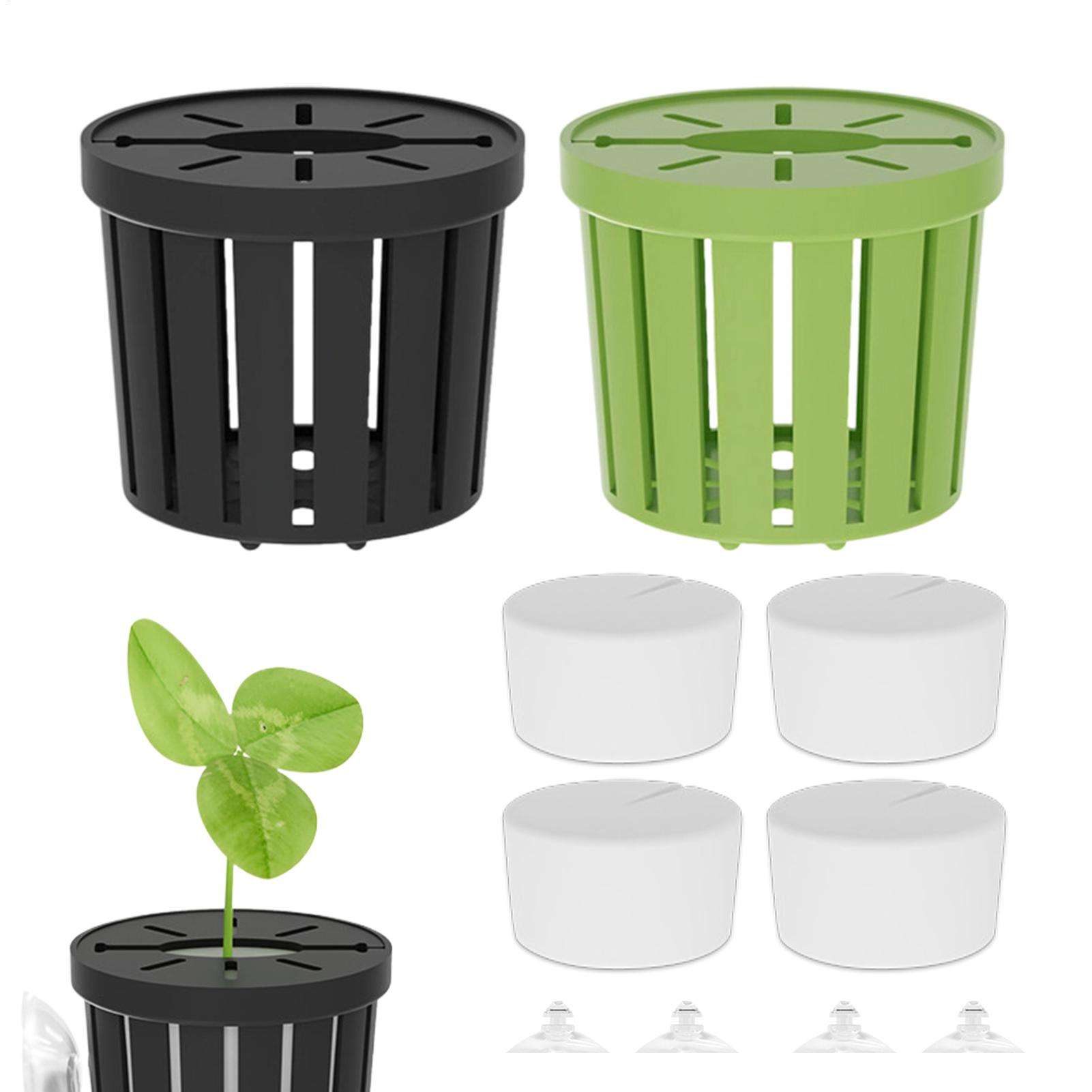Set di 4 Supporti per Piante A - Aquarium Planted Background recensione e prezzo