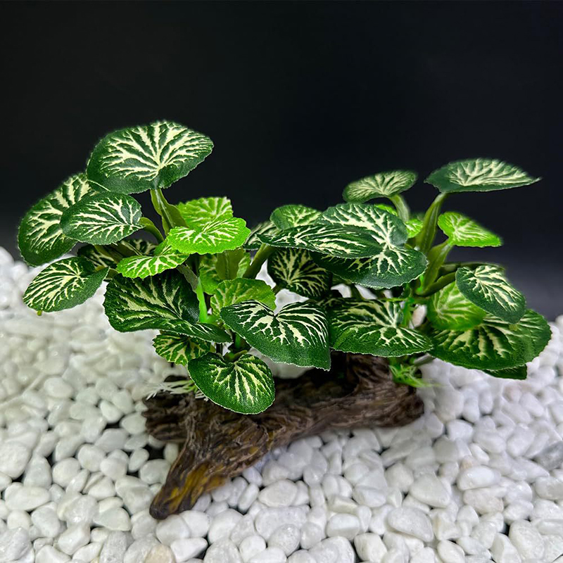 Erba artificiale subacquea Acq - Aquarium Planted Background recensione e prezzo