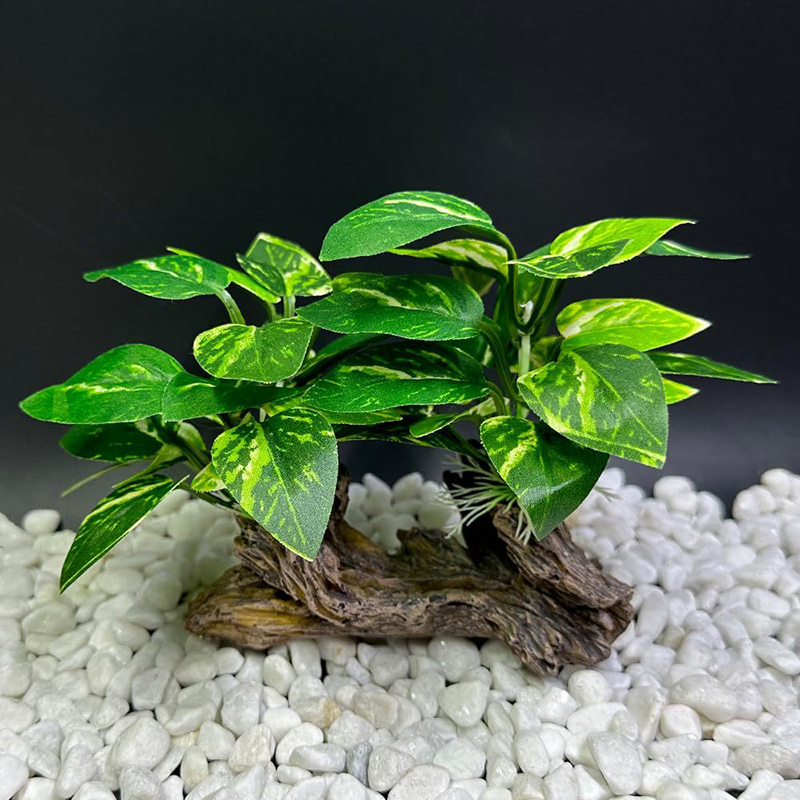 Erba artificiale subacquea Acq - Aquarium Planted Background recensione e prezzo