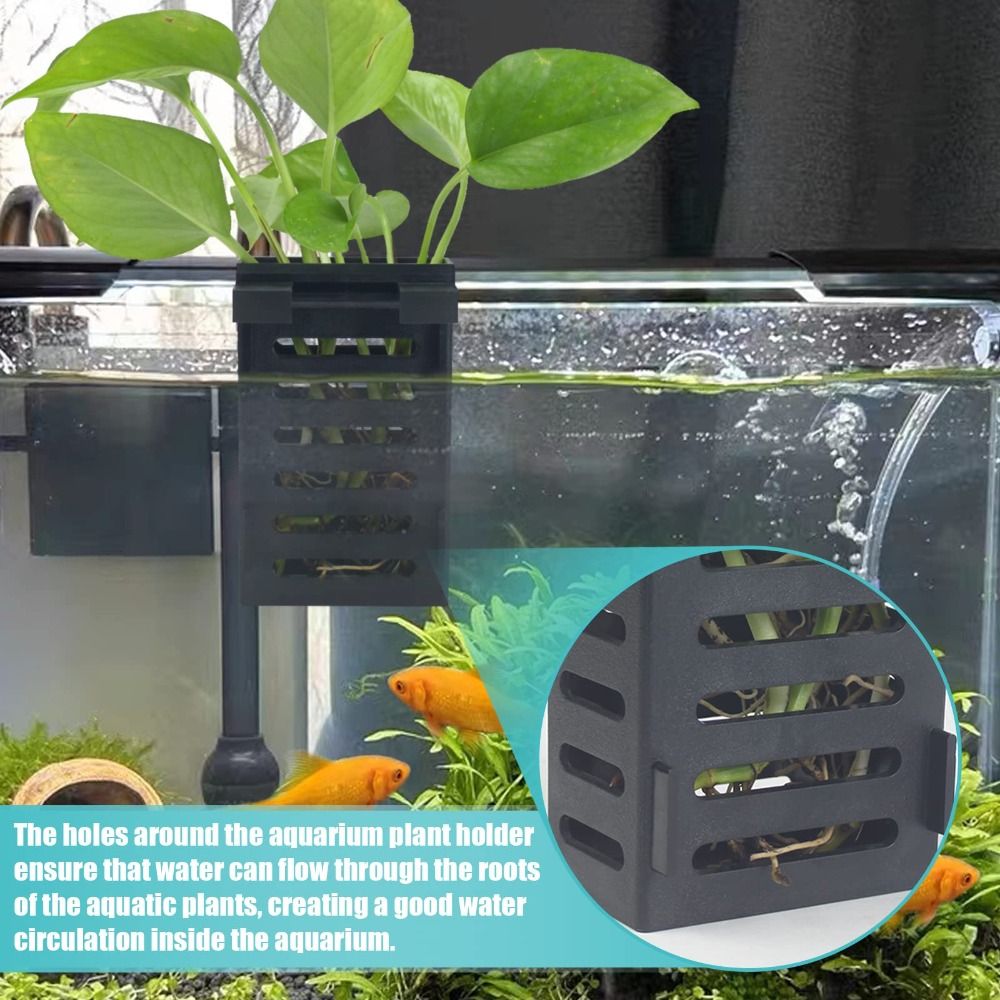Supporto per piante in vetro p - Emersed Plants Aquarium recensione e prezzo
