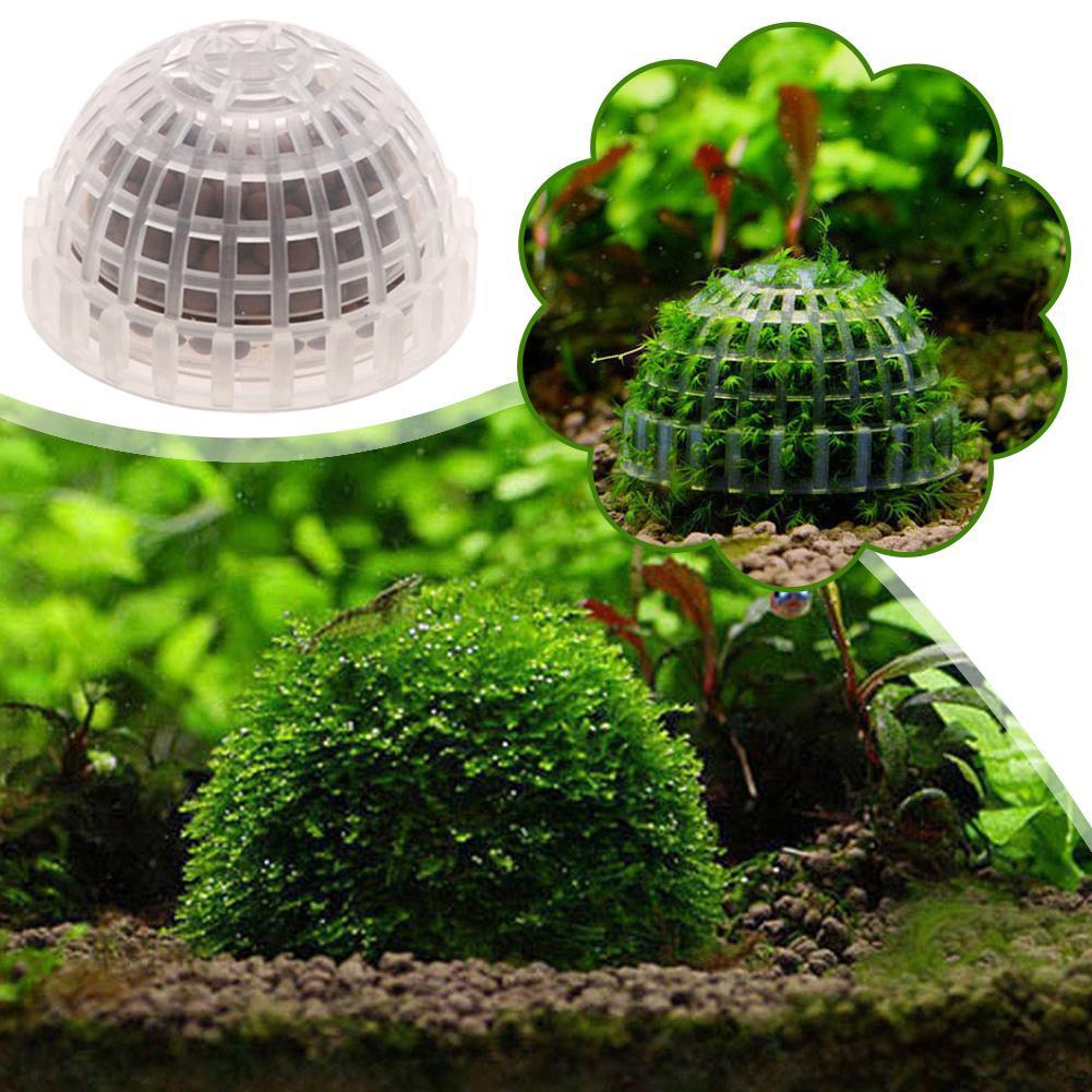 1/2/3/4/5 Pezzi Decorazioni pe - Aquarium Plant Red recensione e prezzo