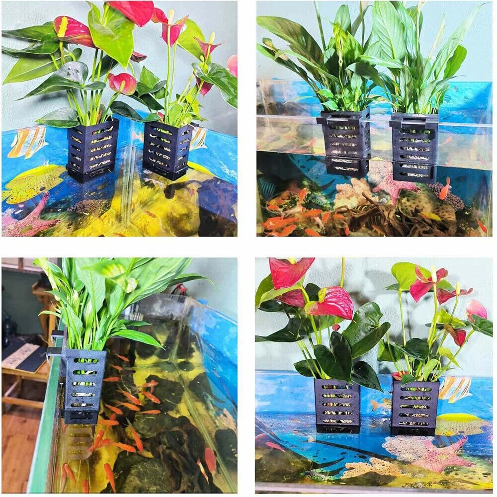 Supporto per Piante Acquatiche - Emersed Plants Aquarium recensione e prezzo