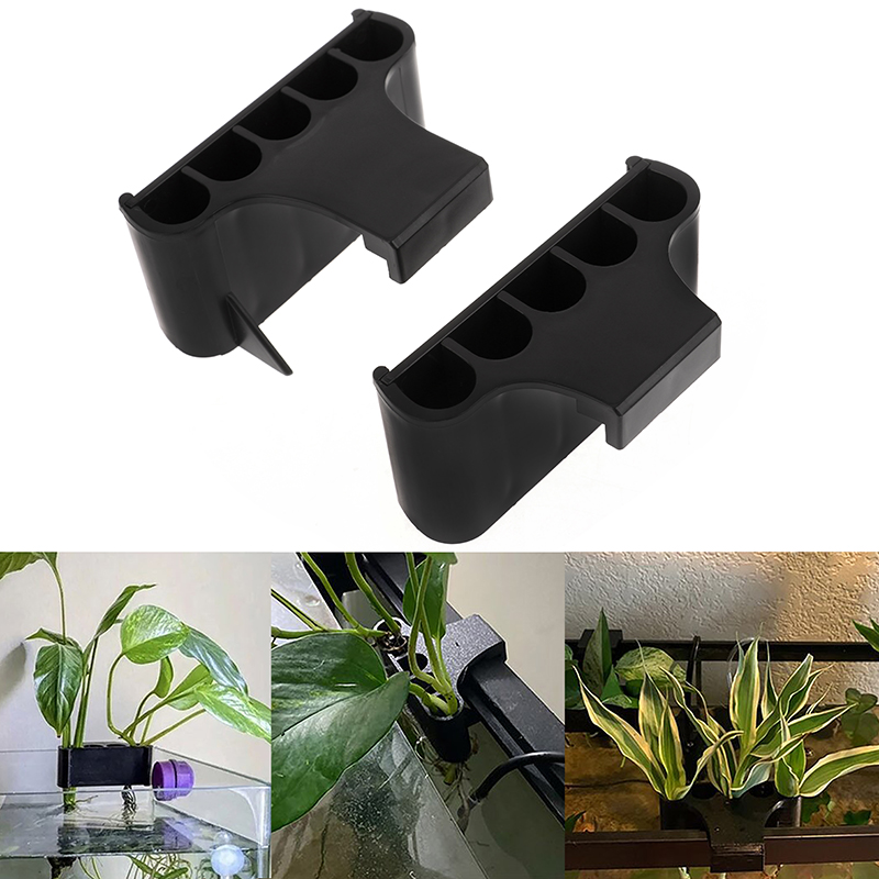 Supporto per piante d'acquario - Emersed Plants Aquarium recensione e prezzo