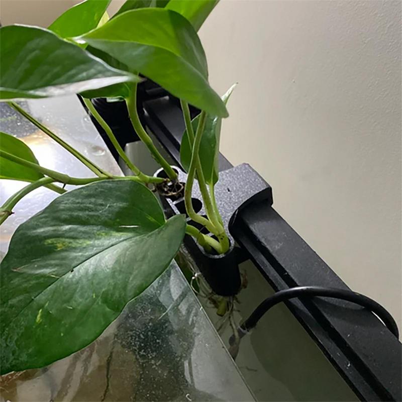 Portapiante per acquario sospe - Emersed Plants Aquarium recensione e prezzo