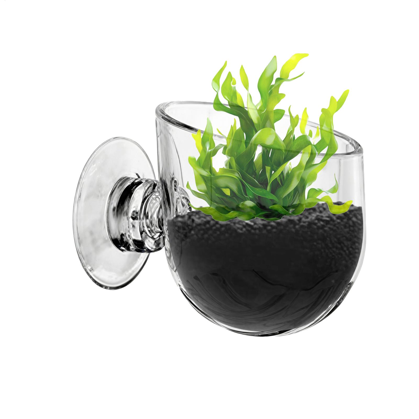 Supporto per Piante Acquatiche - Aquarium Planted Background recensione e prezzo