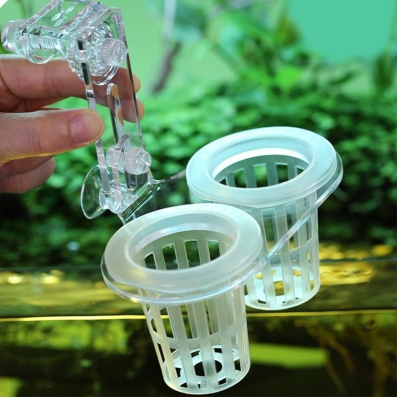 Supporto per piante per acquar - Emersed Plants Aquarium recensione e prezzo