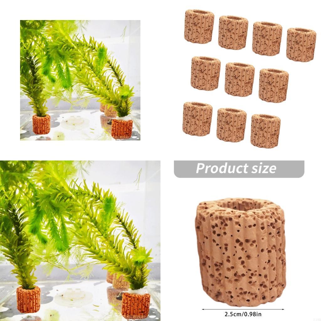F19B Portapiante per acquario  - Emersed Plants Aquarium recensione e prezzo