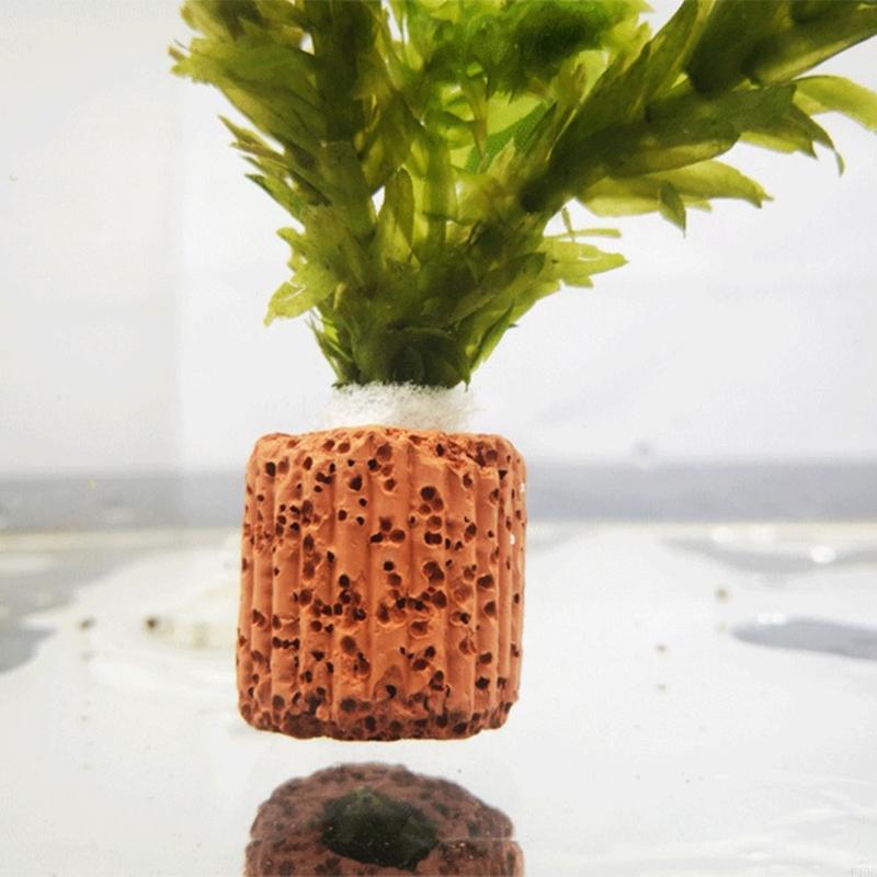 F19B Portapiante per acquario  - Emersed Plants Aquarium recensione e prezzo