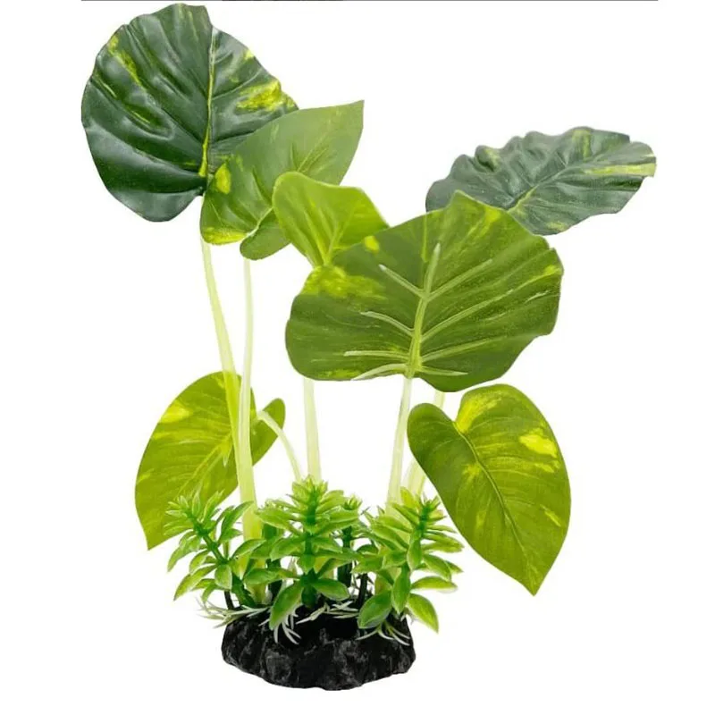 Piccola erba subacquea Acquari - Aquarium Planted Background recensione e prezzo