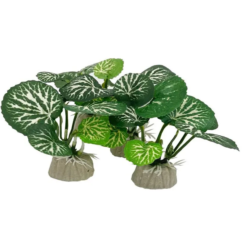 Piccola erba subacquea Acquari - Aquarium Planted Background recensione e prezzo