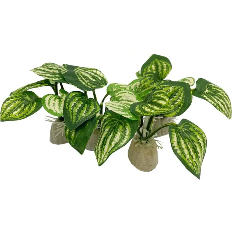 Piccola erba subacquea Acquari - Aquarium Planted Background recensione e prezzo