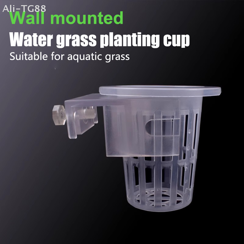 Supporto per Piante Acquatiche - Emersed Plants Aquarium recensione e prezzo